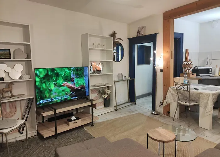 T2 Plein Centre-Ville 40M2